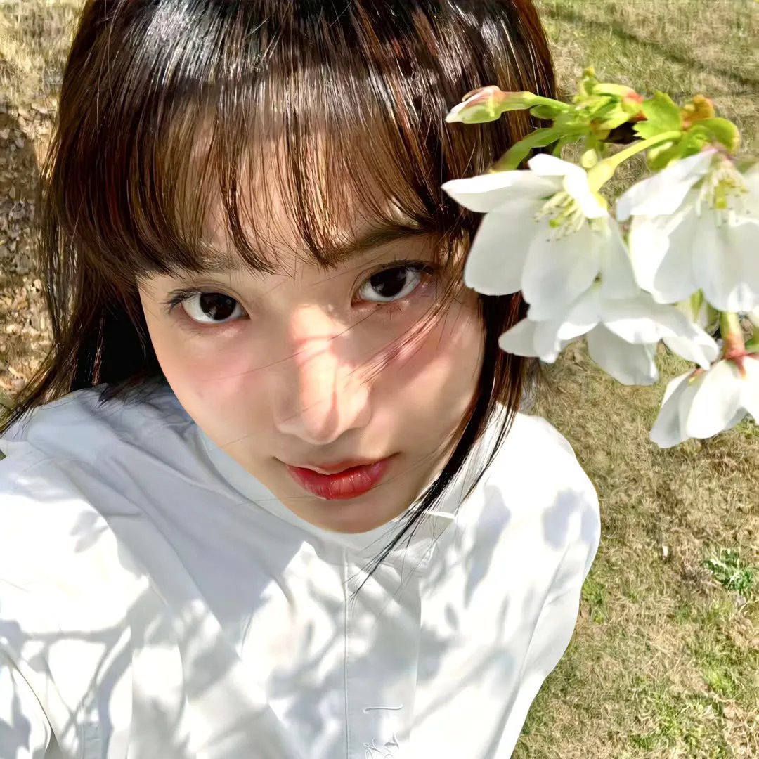 夏洛特时光